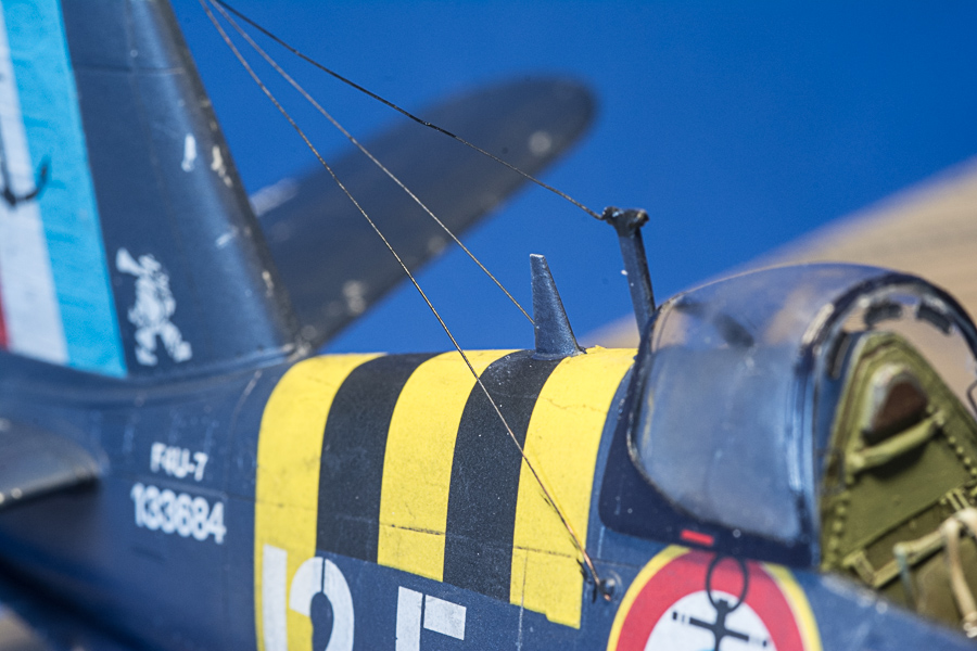 TK7_4856.jpg