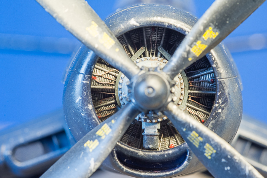 TK7_4857.jpg