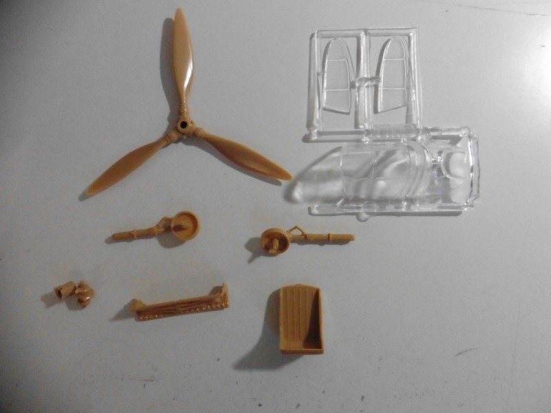 P1010994.JPG