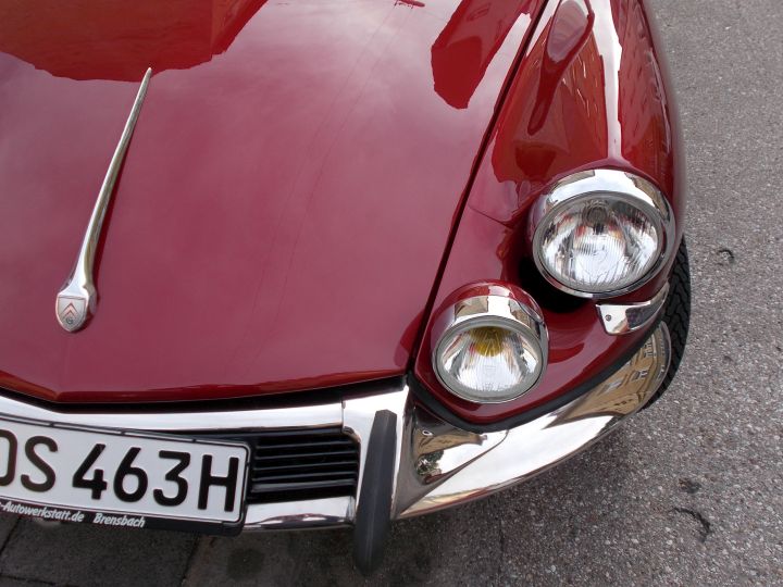 DS21_11.jpg
