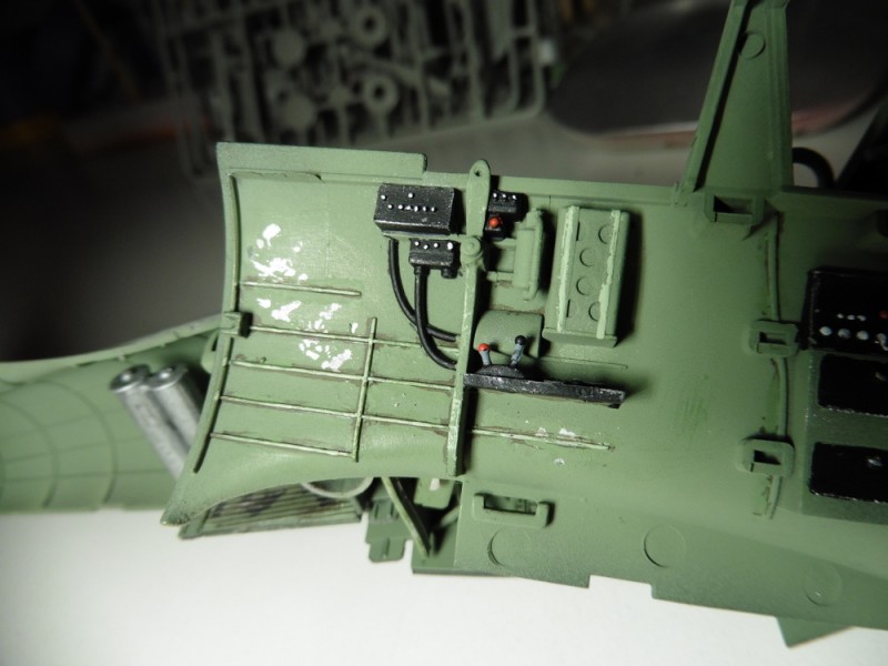 P1020150.JPG