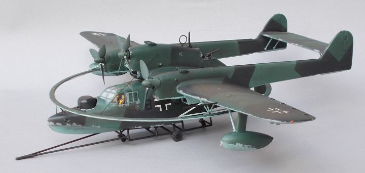 BV_138_80.jpg