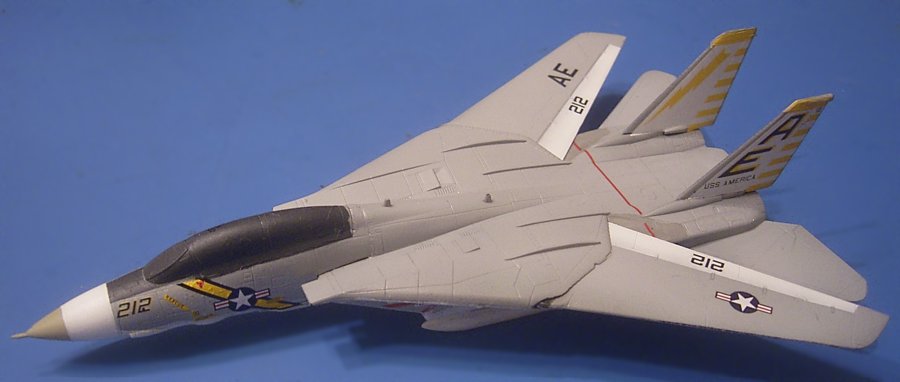 tomcat2.jpg