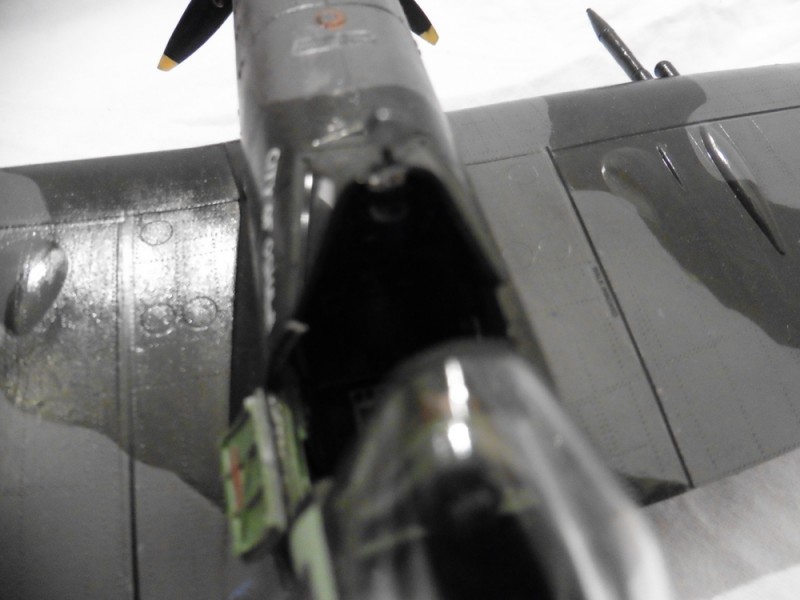 P1020320.JPG