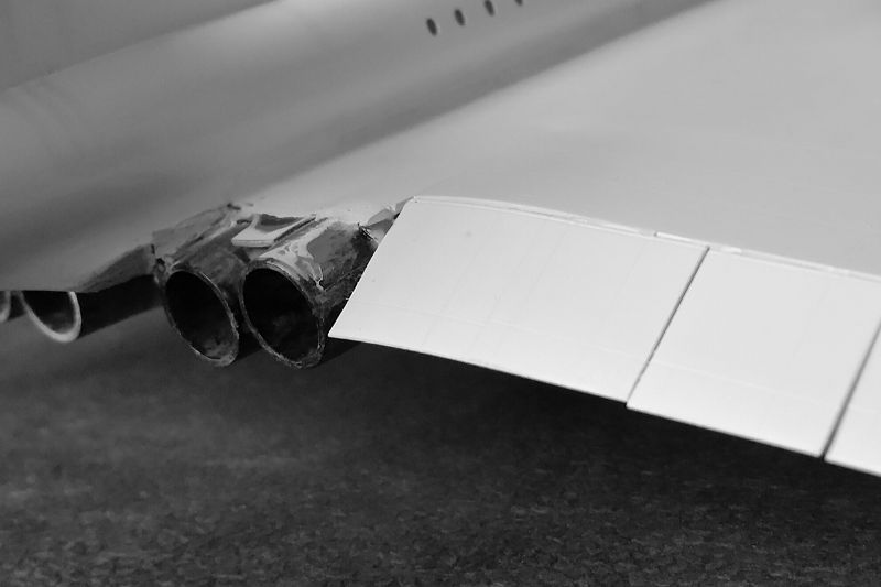 tail2.jpg