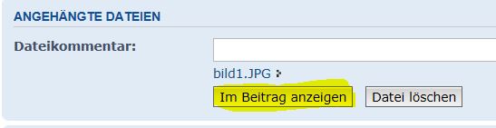 bild2_.JPG