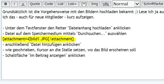 bild3.JPG