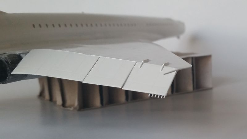 r-tail.jpg