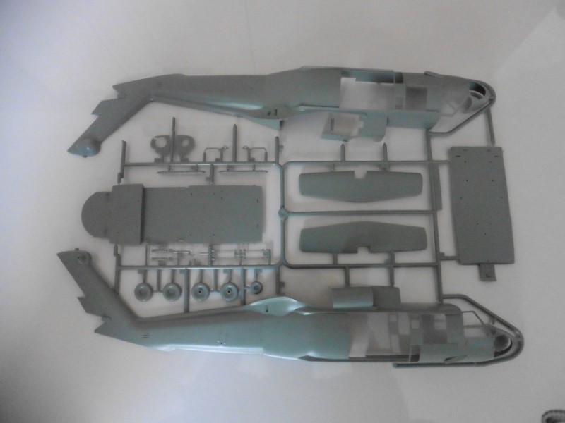 P1020599.JPG
