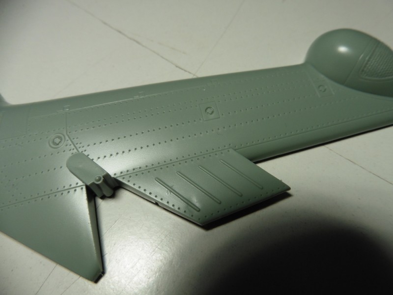 P1020610.JPG