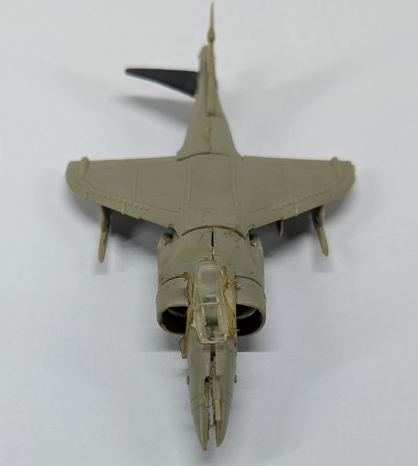 harrier2.JPG
