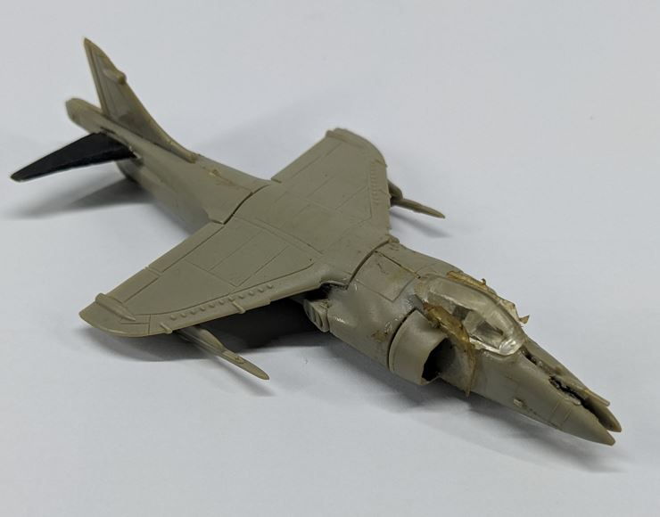 harrier3.JPG