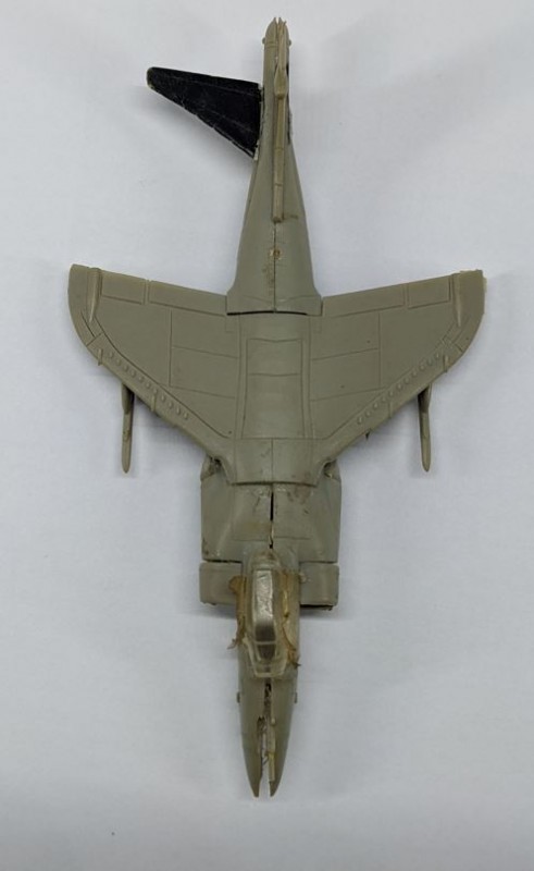 harrier4.JPG