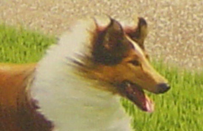 R 1a.jpg