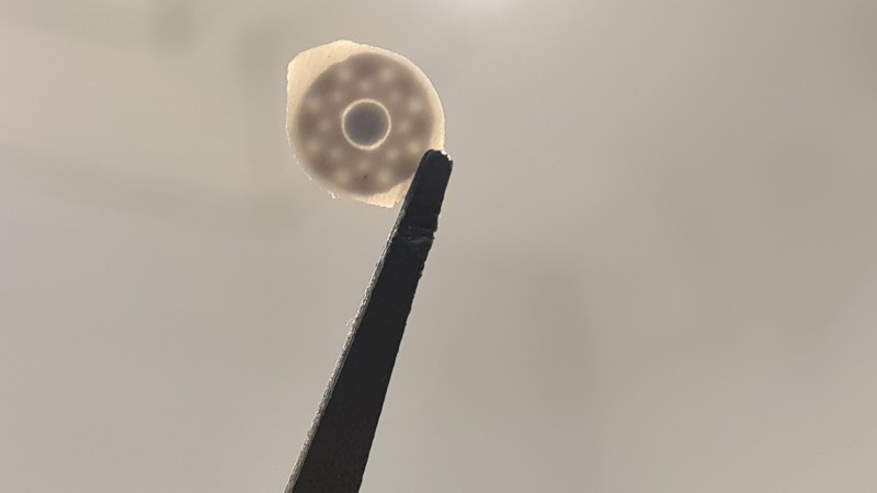 20220412_175349.jpg