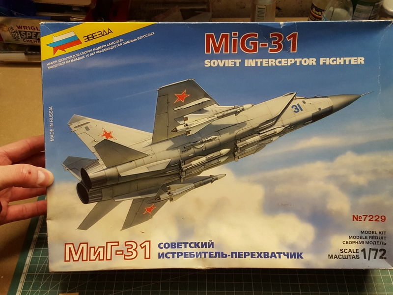 MIG 31_klein.jpg