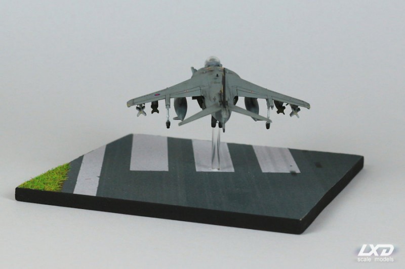 harrier_07.jpg