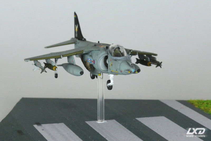 harrier_08.jpg