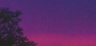 IMG_20220826_222213.jpg