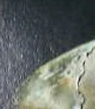 R 1a.jpg