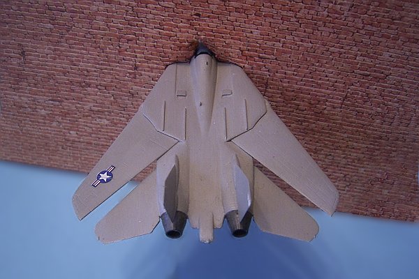 tomcat54.jpg