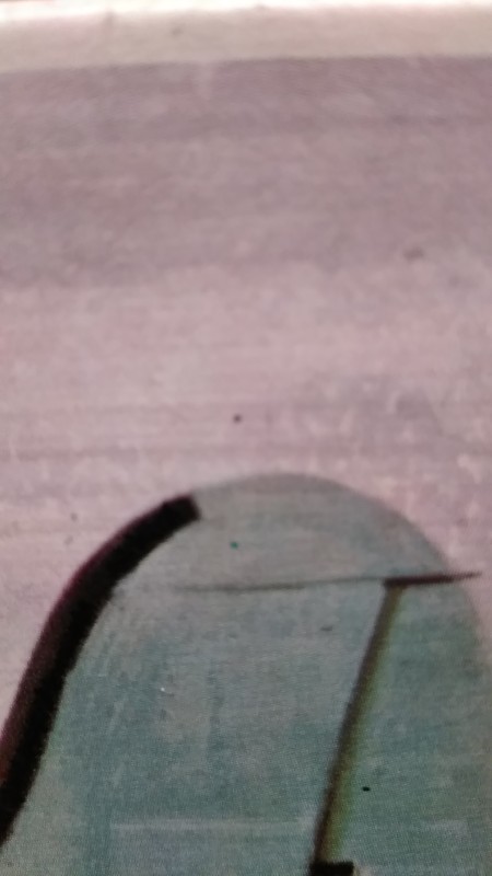 IMG_20221018_043248.jpg