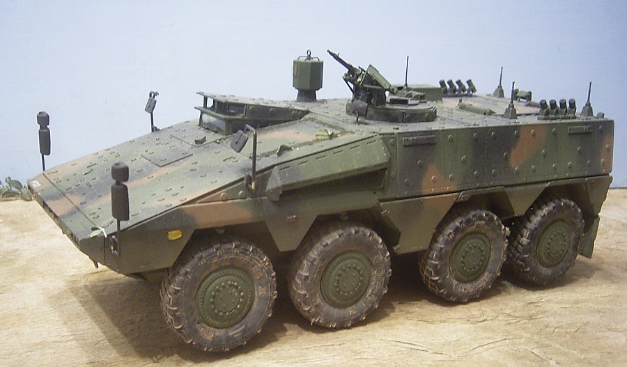 boxer01.jpg