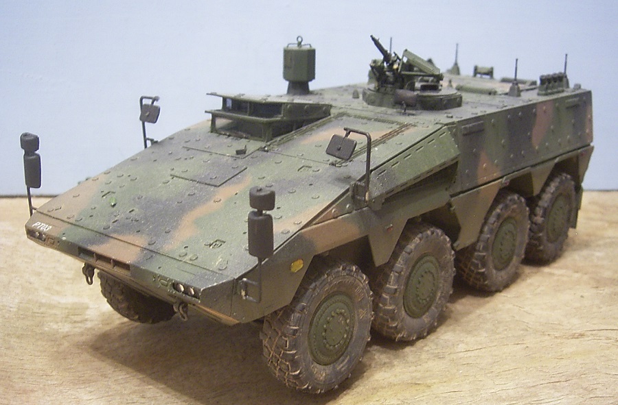 boxer04.jpg