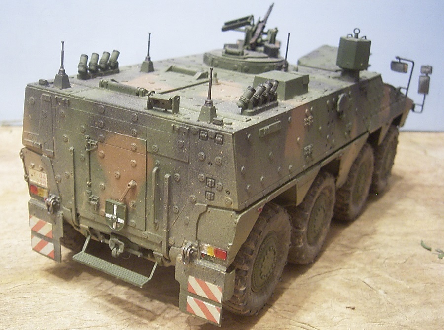 boxer05.jpg