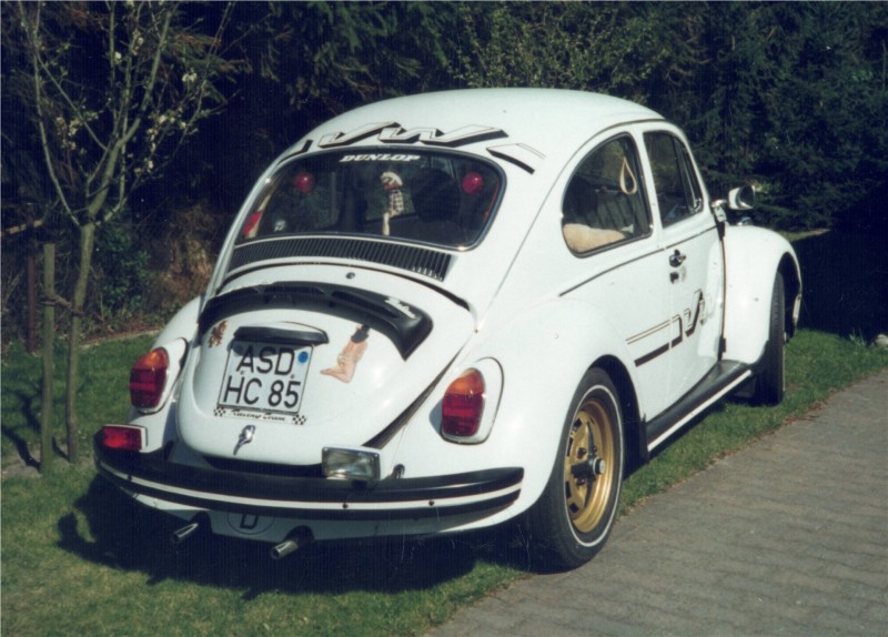 Käfer1.jpg