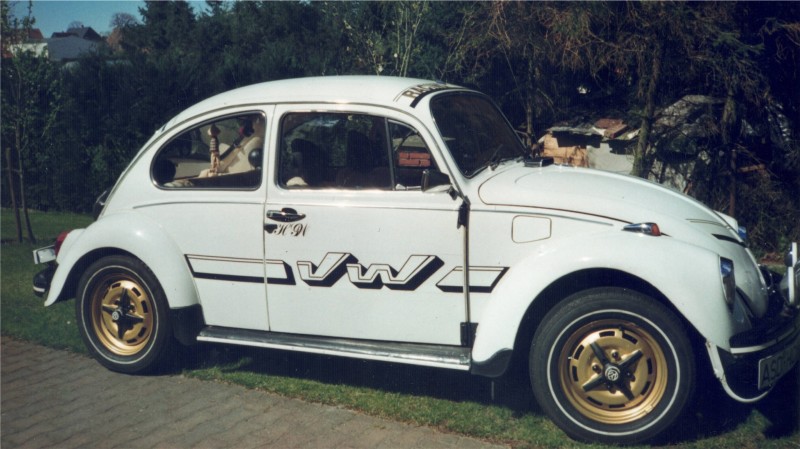 Käfer2.jpg