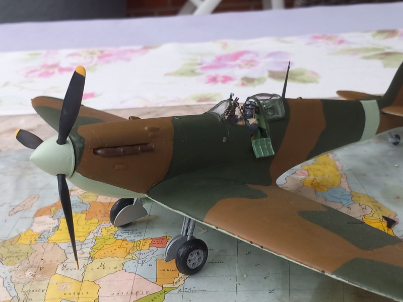 20230824_185942[1].jpg