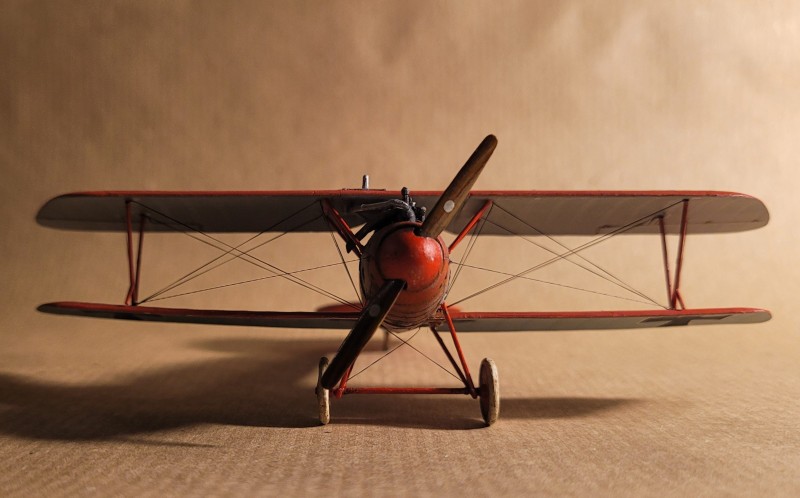 Albatros3.jpg