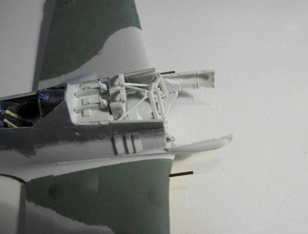 Fw 6.JPG