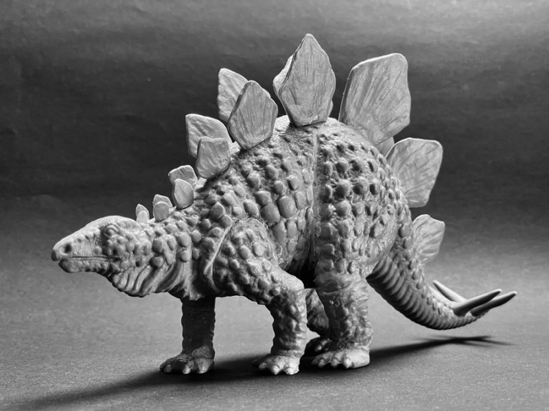 17 Stegosaurus.jpeg