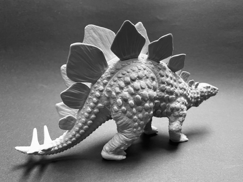 18 Stegosaurus.jpeg