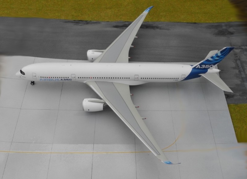 A350_1a.jpg