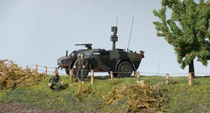 Fennek_41.jpg