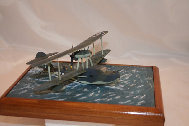 walrus25.JPG