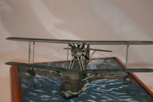 walrus26.JPG