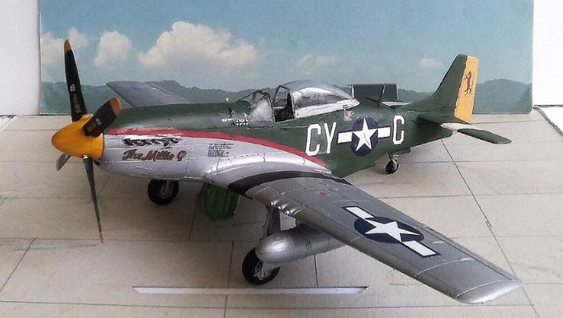 p2.jpg