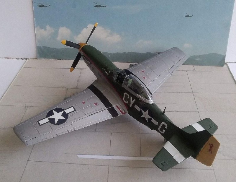 p3.jpg