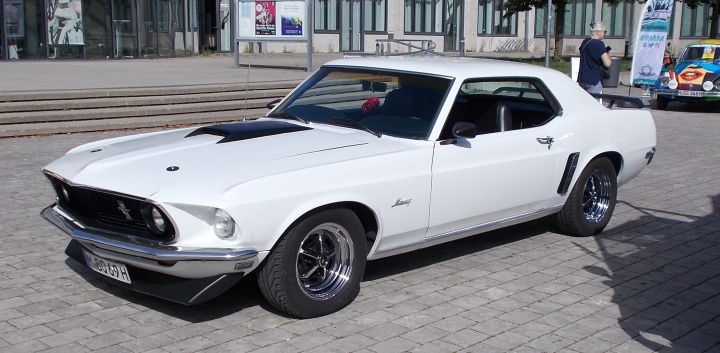 Mustang_03a.jpg