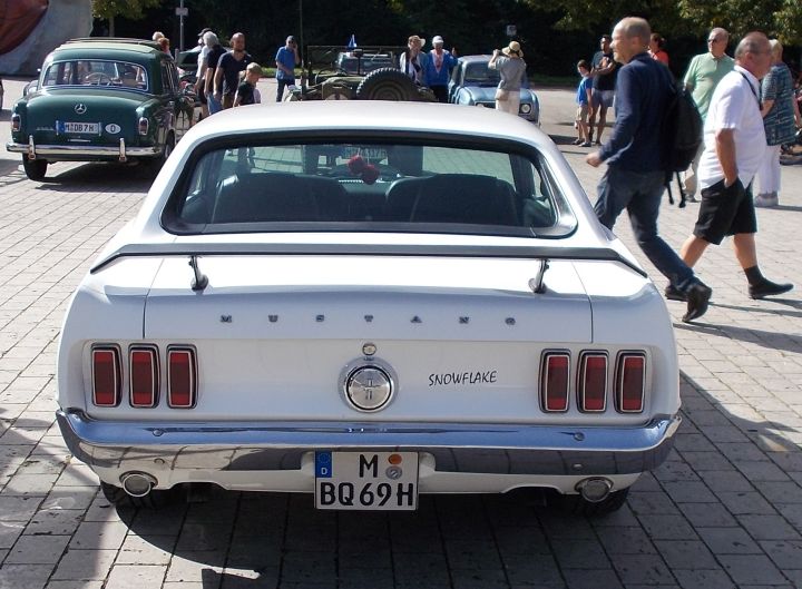 Mustang_03b.jpg