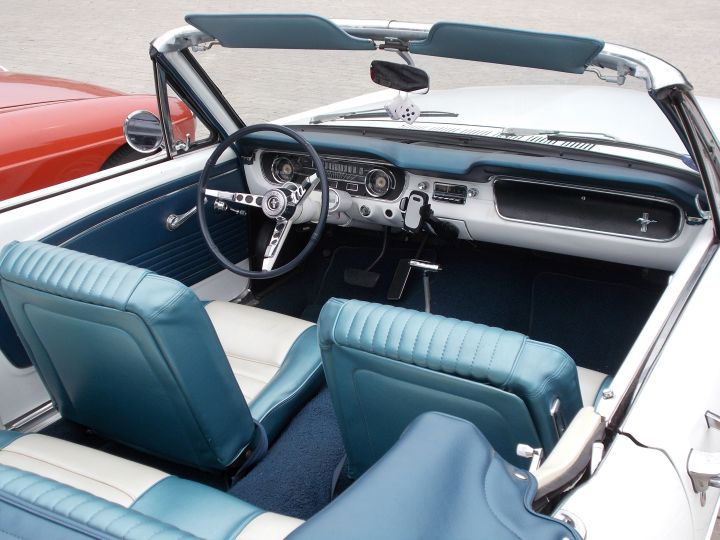 Mustang_04a.jpg