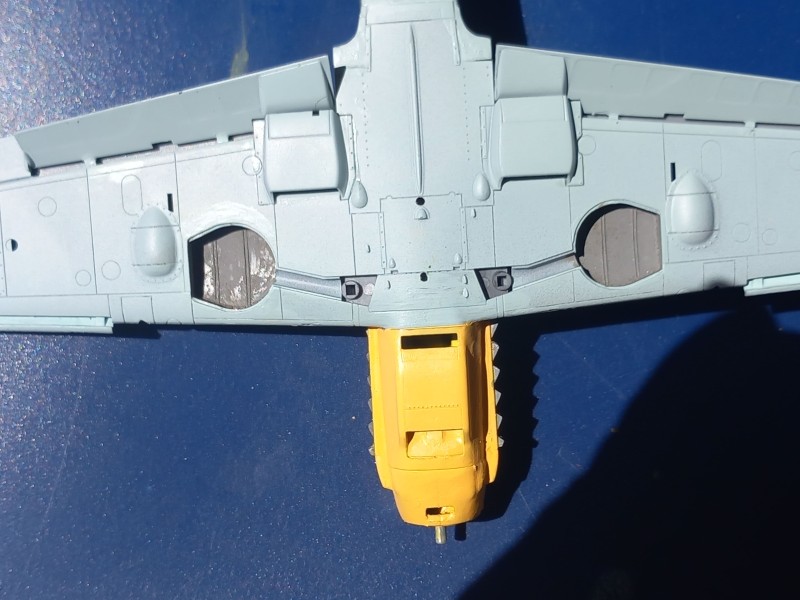 20240615_140831[1].jpg