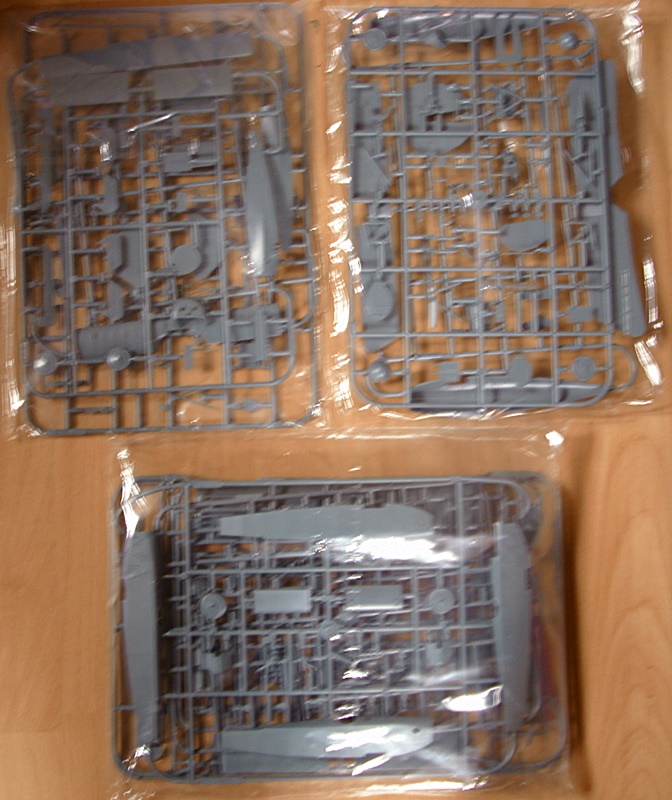 DSCI0348.JPG