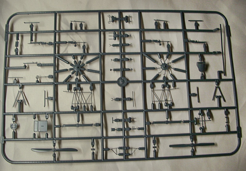 DSCI0359.JPG