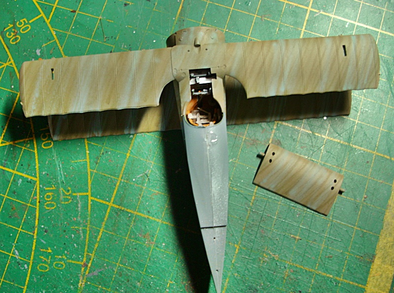 DSCI0377.JPG