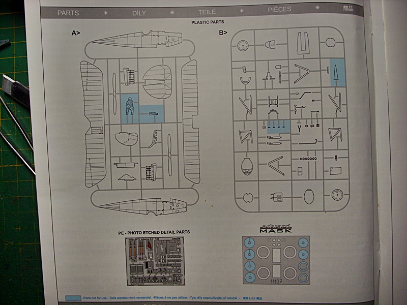 DSCI0406.JPG